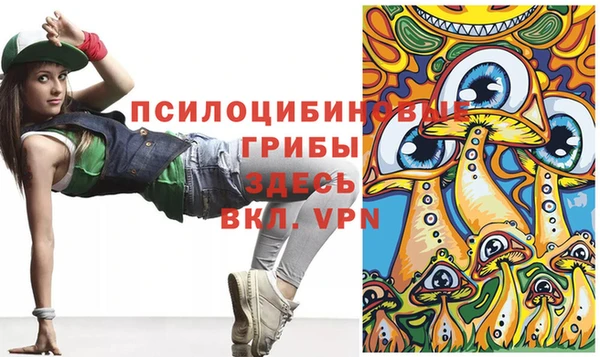 PSILOCYBIN Сосновый Бор
